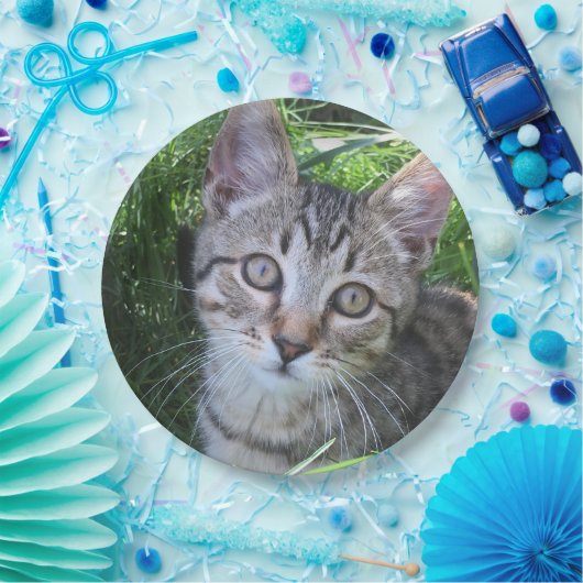 Gray Tabby Cat Pappteller (Party)