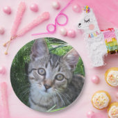 Gray Tabby Cat Pappteller (Party)