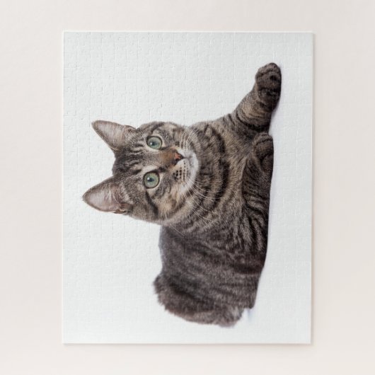 Gray Tabby Cat Puzzle (Vertikal)