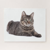 Gray Tabby Cat Puzzle (Horizontal)