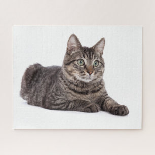 Gray Tabby Cat Puzzle