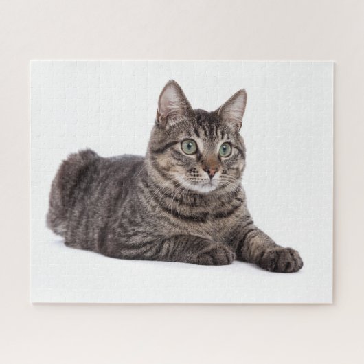 Gray Tabby Cat Puzzle (Horizontal)