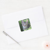 Gray Tabby Cat Quadratischer Aufkleber (Umschlag)