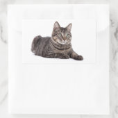 Gray Tabby Cat Rechteckiger Aufkleber (Tasche)