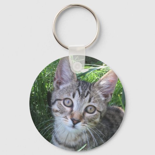 Gray Tabby Cat Schlüsselanhänger (Vorderseite)