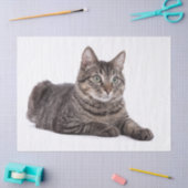 Gray Tabby Cat Seidenpapier (Basteln)