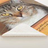 Gray Tabby Cat Sherpadecke (3/4)