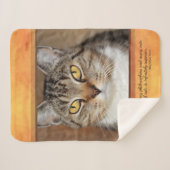 Gray Tabby Cat Sherpadecke (Vorderseite (Horizontal))