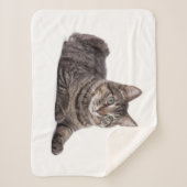 Gray Tabby Cat Sherpadecke (Vorderseite)