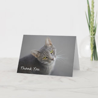 Gray Tabby Cat Thank You Card by Focus for a Cause Dankeskarte