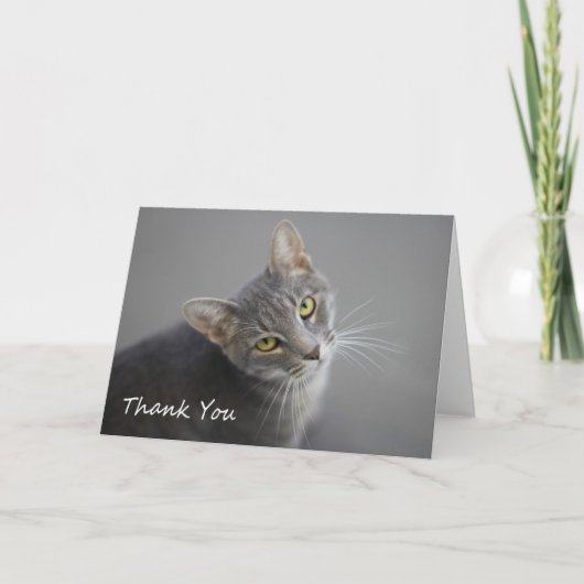 Gray Tabby Cat Thank You Card by Focus for a Cause Dankeskarte (Vorderseite)
