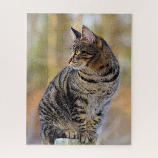 Gray Tabby Jigsaw Puzzle (Vertikal)