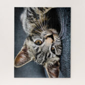 Gray Tabby Kitten Jigsaw Puzzle (Vertikal)