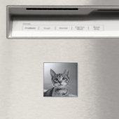 Gray Tabby Kitten Magnet (In Situ (Geschirrspüler))