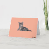 Gray Tabby und Rose Karte (Rückseite)