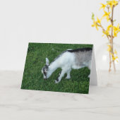 Gray the Nanny Kid Karte (Gelbe Blume)