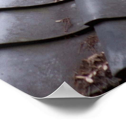 Gray Tiled Roof Poster (Ecke)