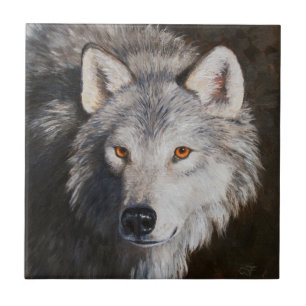 Gray Timber Wolf Face Portrait Fliese