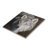Gray Timber Wolf Face Portrait Fliese (Seite)