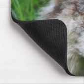 Gray Timber Wolf Mousepad (Ecke)