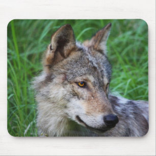 Gray Timber Wolf Mousepad