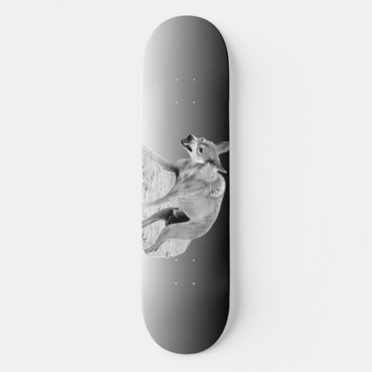 Gray Timber Wolf Snarl Skateboard (Vorderseite)