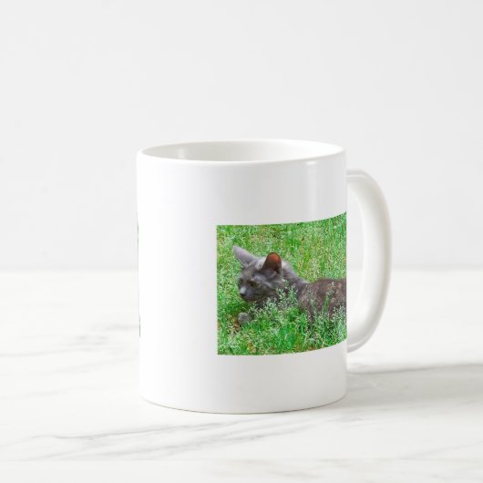 Gray Tortie Cat Kaffeetasse (VorderseiteRechts)