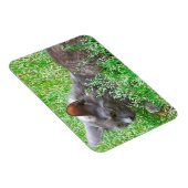 Gray Tortie Cat Magnet (Rechte Seite)