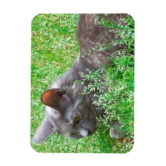 Gray Tortie Cat Magnet