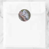 Gray Tree Frog Sticker (Tasche)