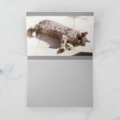 GRAY TURKISH CAT KARTE (Innenseite)