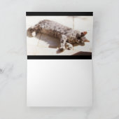 GRAY TURKISH CAT KARTE (Innenseite)