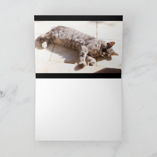 GRAY TURKISH CAT KARTE (Innenseite)