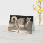 GRAY TURKISH CAT KARTE (Gelbe Blume)