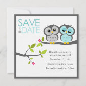 Gray und Aqua Owls Wedding Save the Date (Vorderseite)