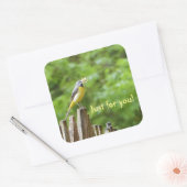 Gray Wagtail Quadratischer Aufkleber (Umschlag)