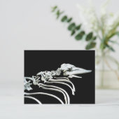 Gray Whale Fossil Postkarte (Stehend Vorderseite)