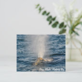 Gray Whale Post Card Postkarte (Stehend Vorderseite)