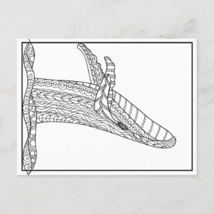 Gray Whale Postcard Postkarte