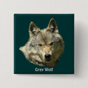 Gray Wolf Alpha Female Wildlife-Liebhaber Button