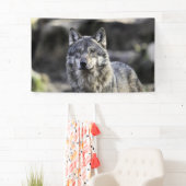 Gray Wolf Banner (Insitu)