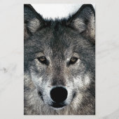Gray Wolf Briefpapier (Vorderseite)