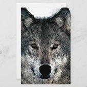 Gray Wolf Briefpapier (Vorne/Hinten)