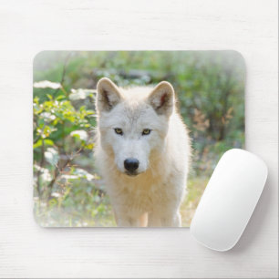 Gray Wolf, Calm Canine Mousepad