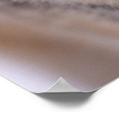 gray wolf, Canis lupus, close up of eyes in Poster (Ecke)