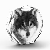 Gray Wolf cool Fotoblock (Links)