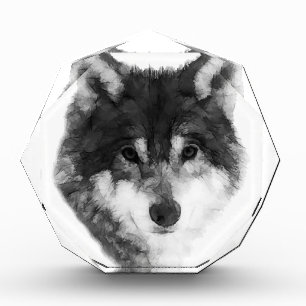 Gray Wolf cool Fotoblock