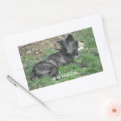 GRAY WOLF CUB Wildlife Supporter Stickers (Umschlag)