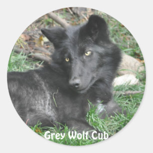 GRAY WOLF CUB Wildlife Supporter Stickers