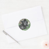 GRAY WOLF CUB Wildlife Supporter Stickers (Umschlag)